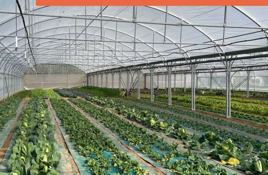 Des locaux agrandis pour la Ferme Emmaüs Baudonne !